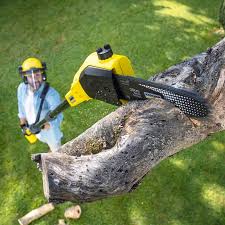 Lawn Maintenance Plans in Robinhood, MS